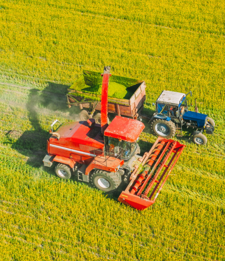 Flexibilidade com controle de custo e risco na locação